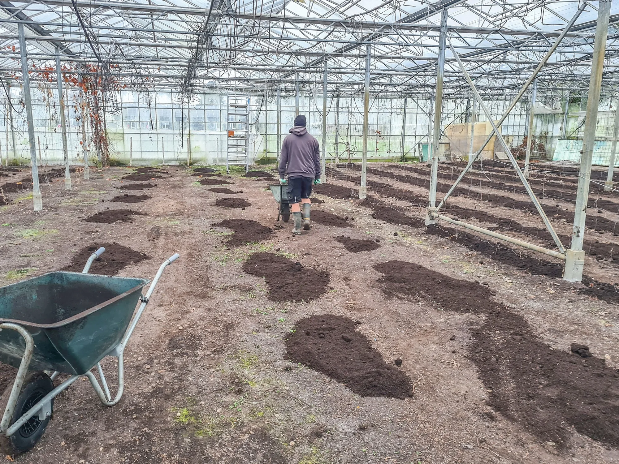 blog23 februai compost in de kas