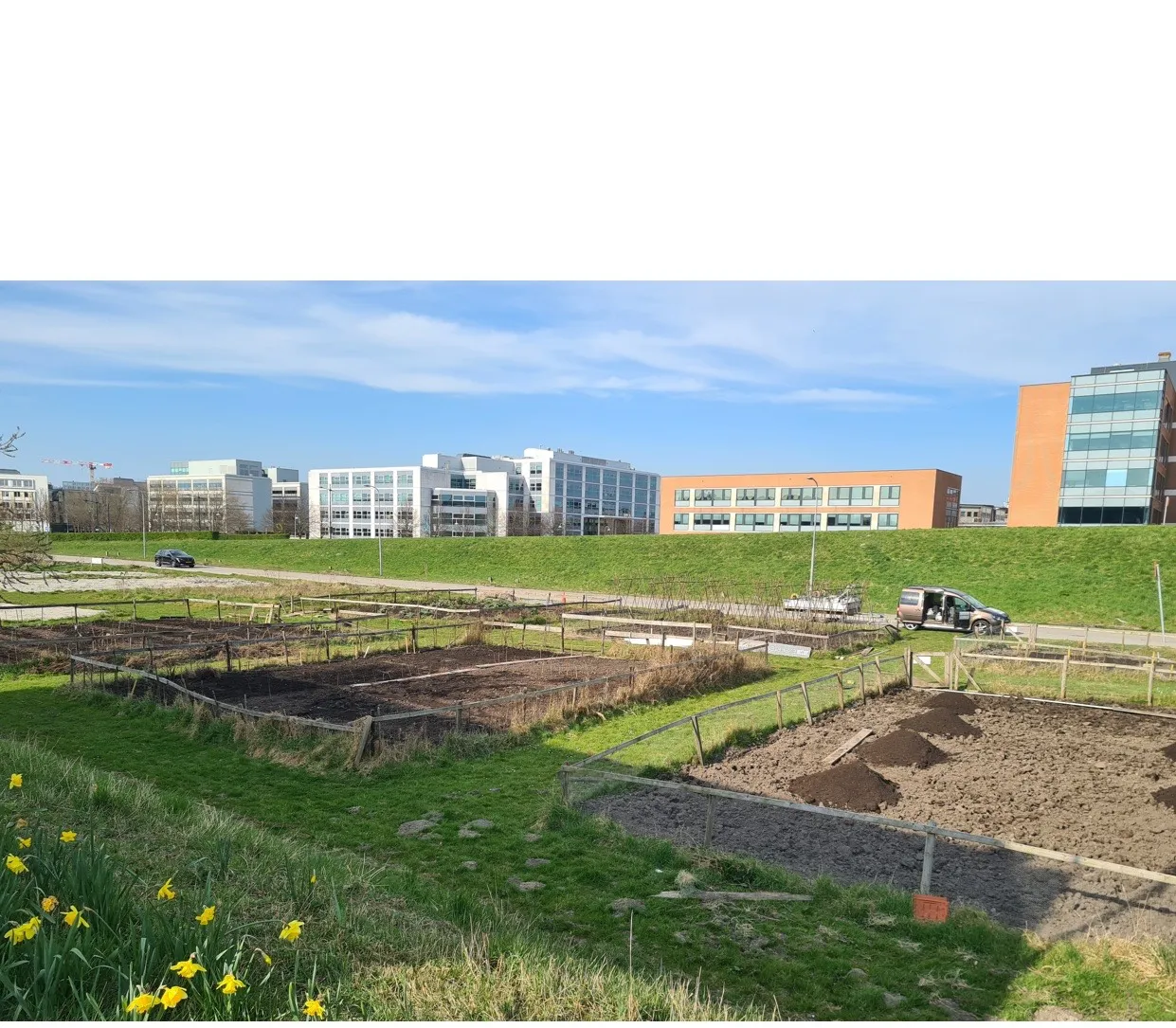 6 april bomenhub is weer groentetuin1