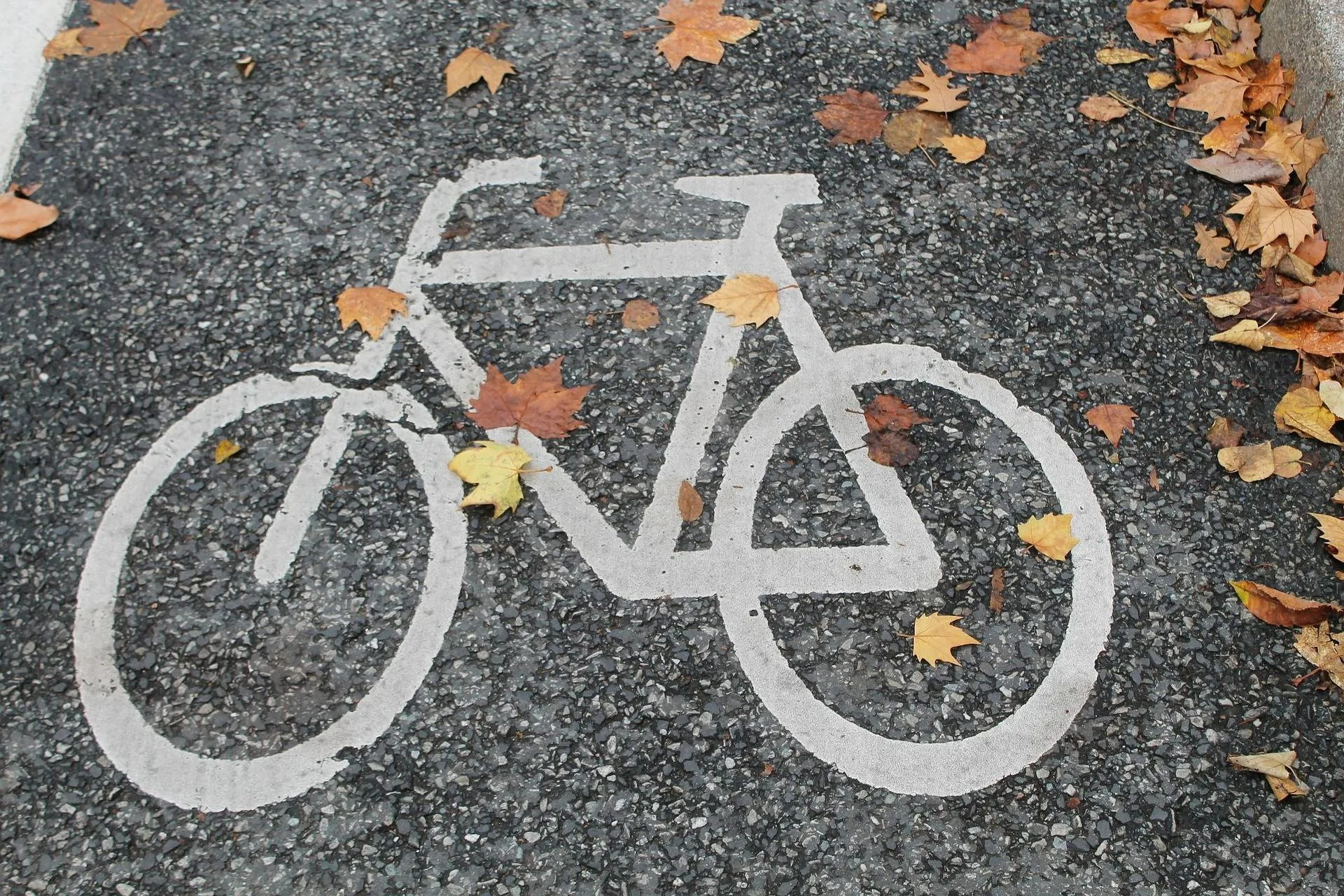 bicycle-path-491313_1920