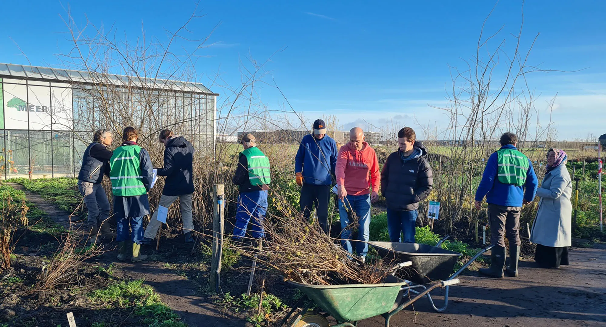 blog14 decemer uitdeel dag Lincolnpark