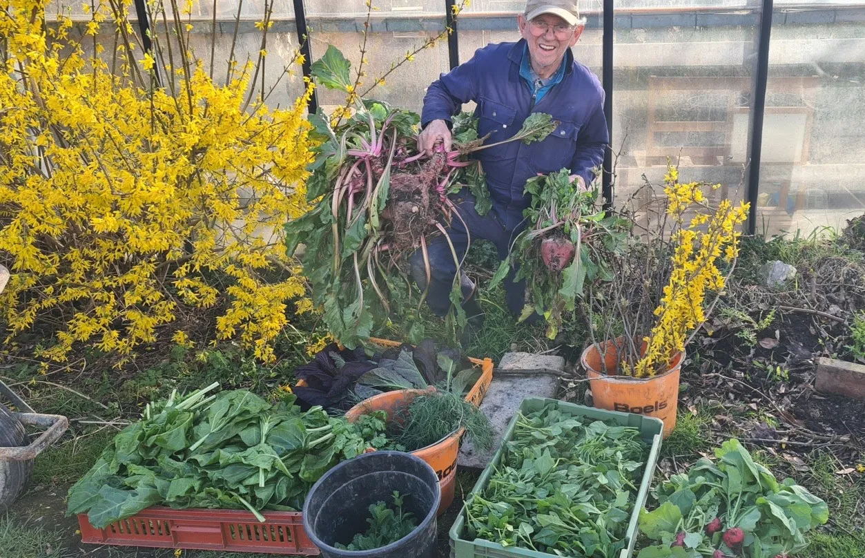 blog29 maart de eerste oogst van 2026