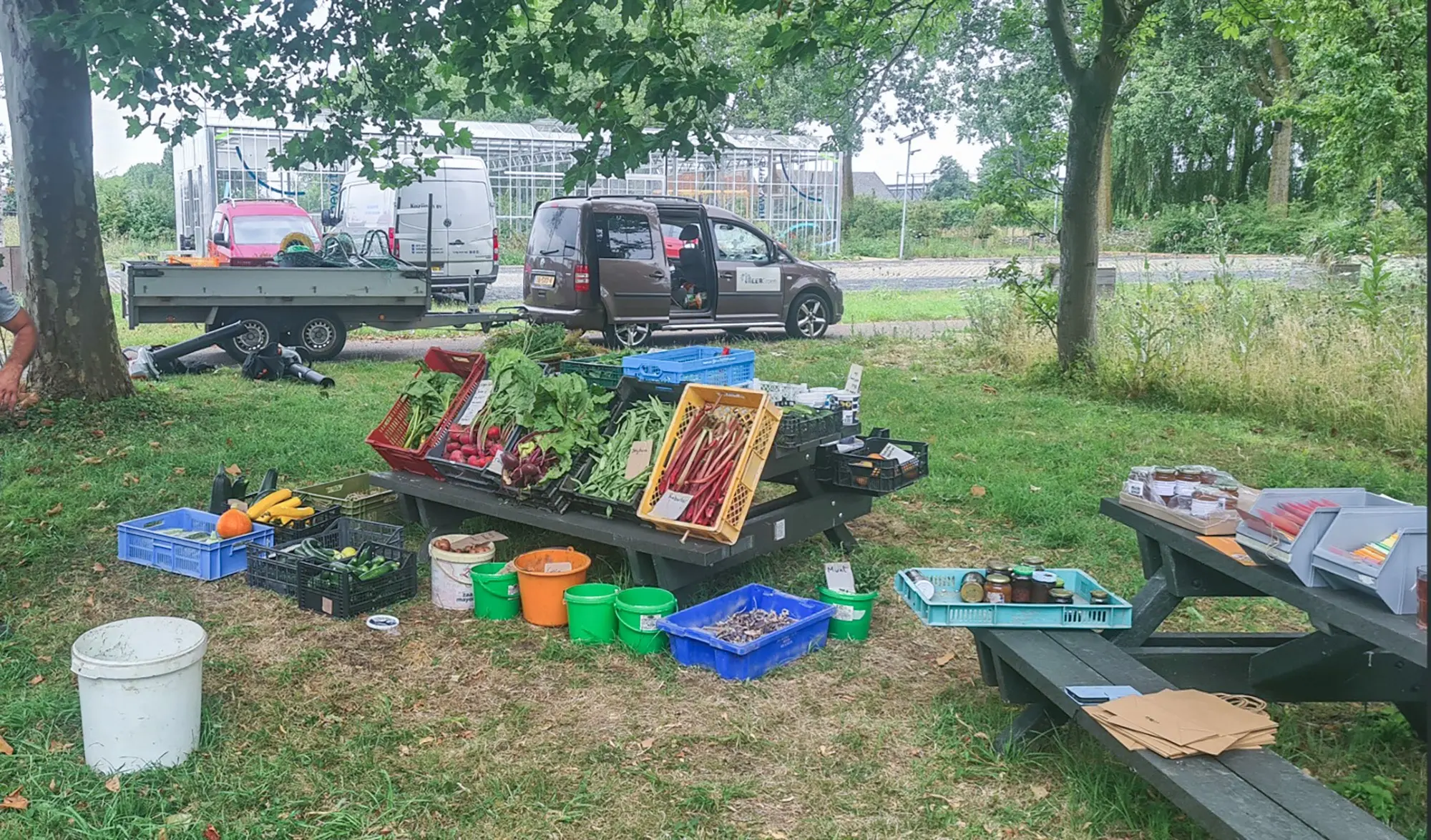 blog 19 juli volop  groente op new terra