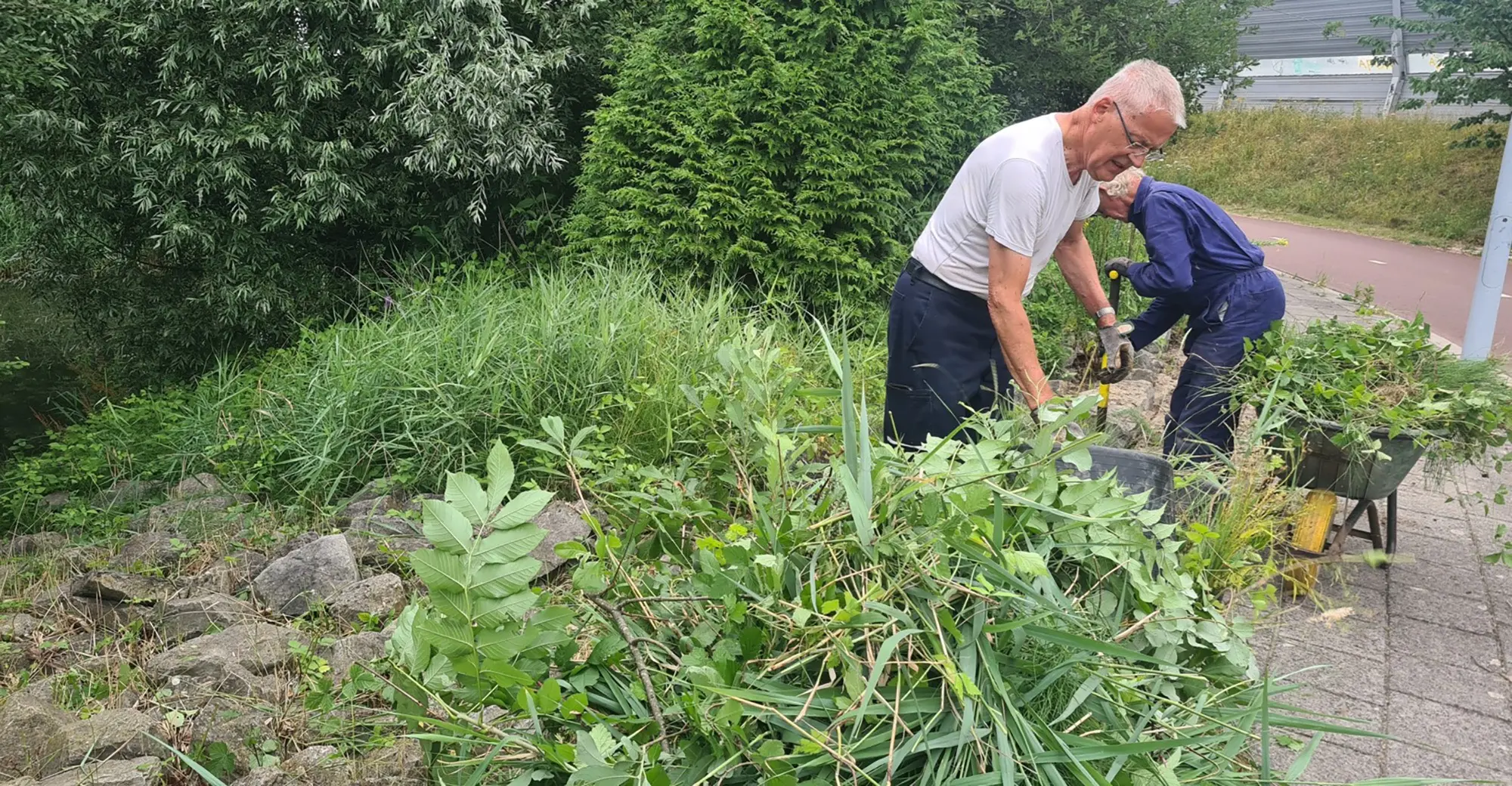 blog12 juli stene veld vooren na schonen