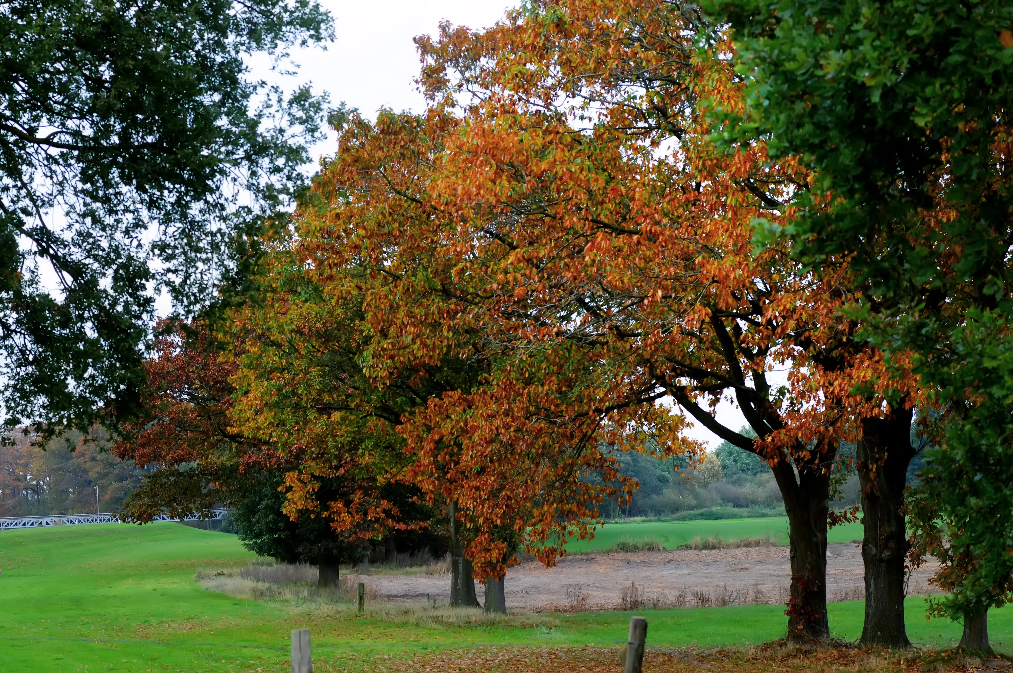 20171019 waalwijk jst7467