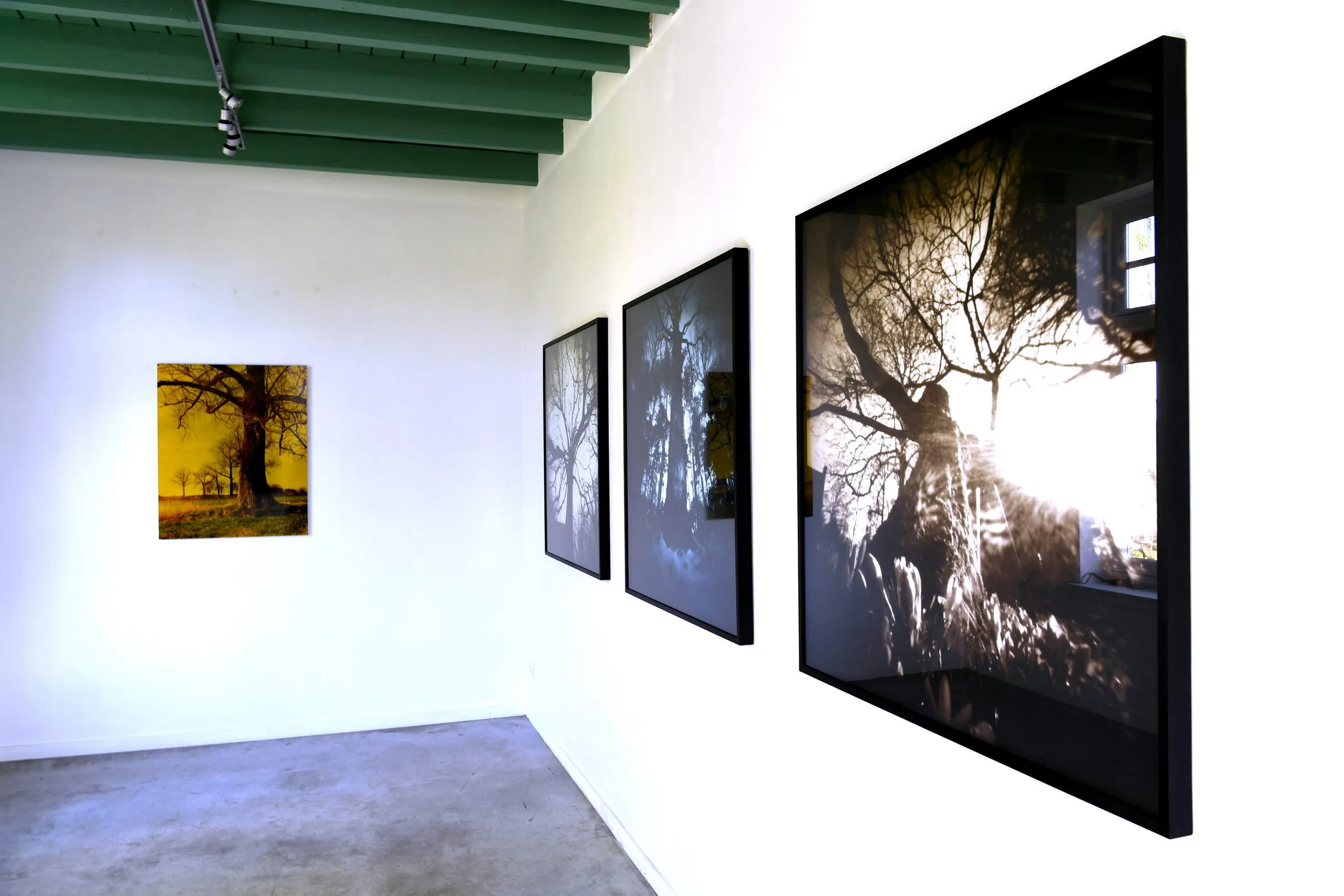 20210323 zundert betsy green jst3735