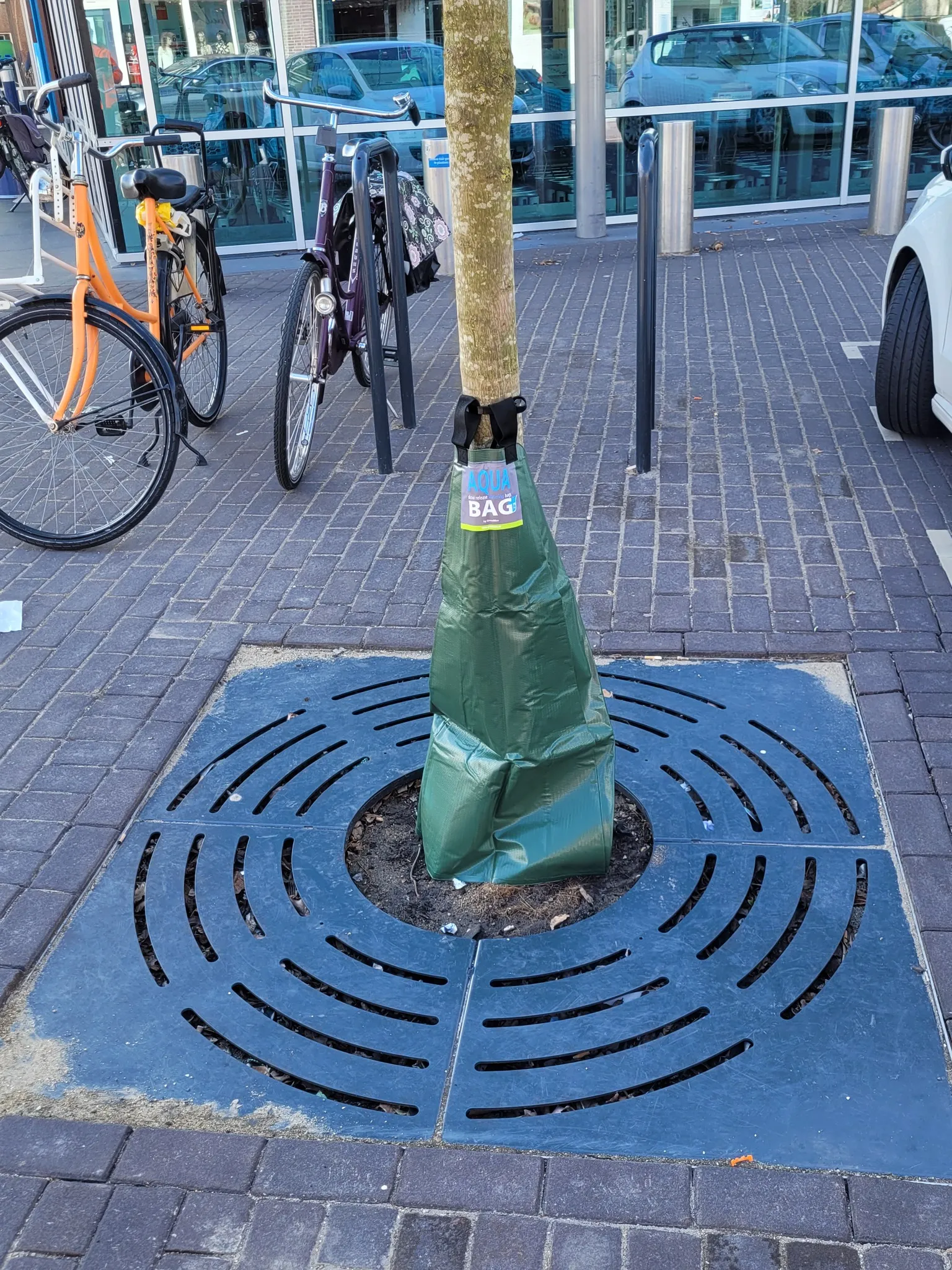 275852664 330800239081670 267683347612929113 n