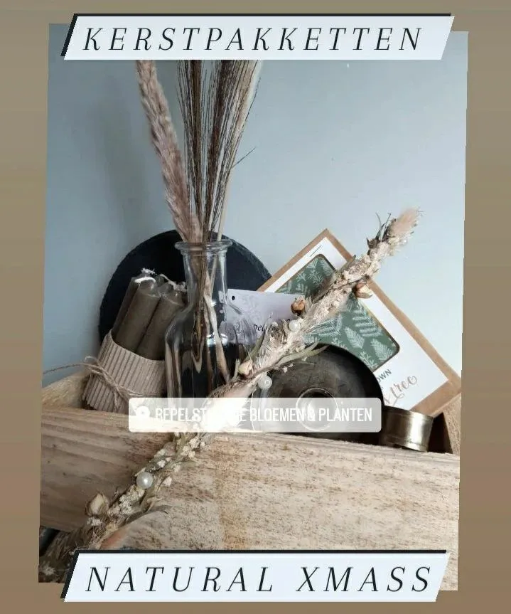 309506517 786932212673318 1854755829350195536 n