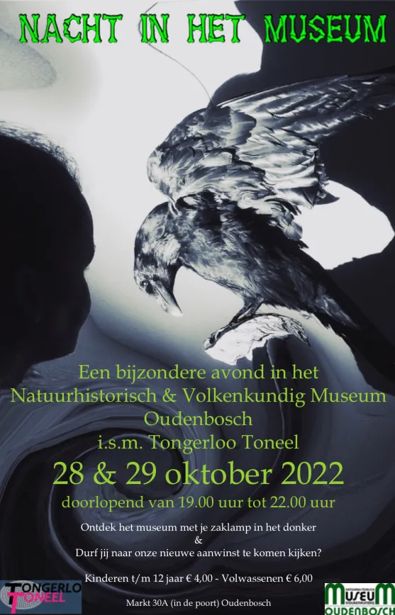 310616454 586854383236023 6661524004206046738 n