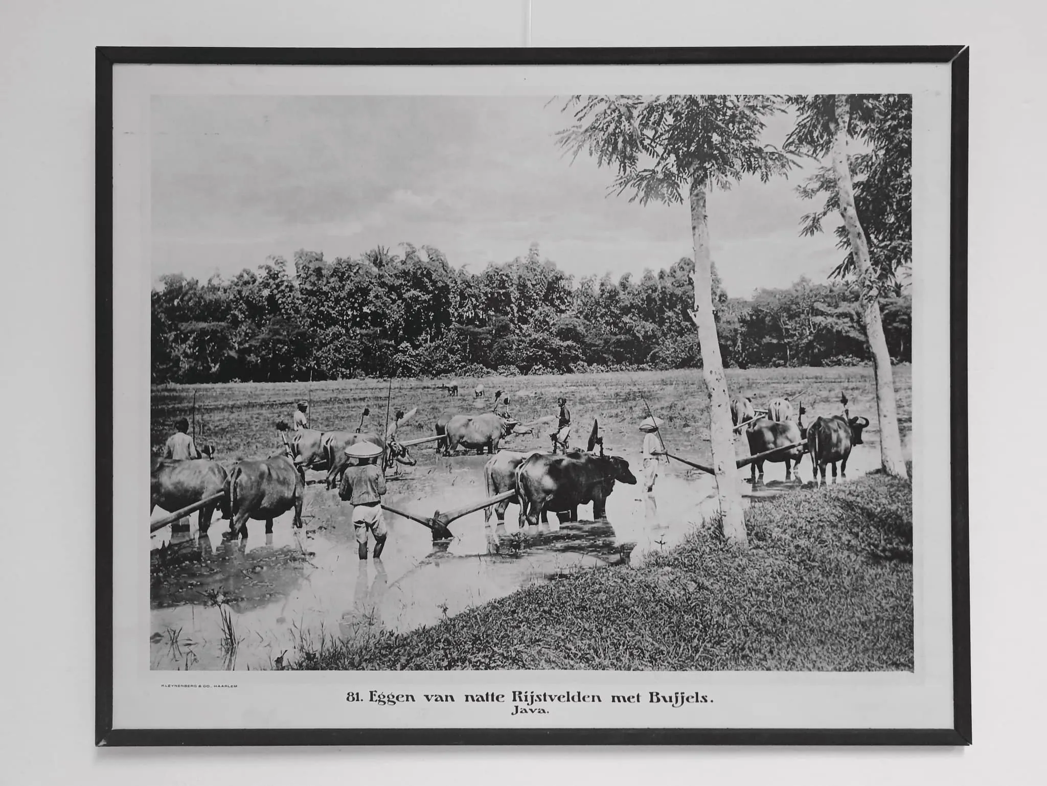 322466161 567325921905238 872147706588902790 n