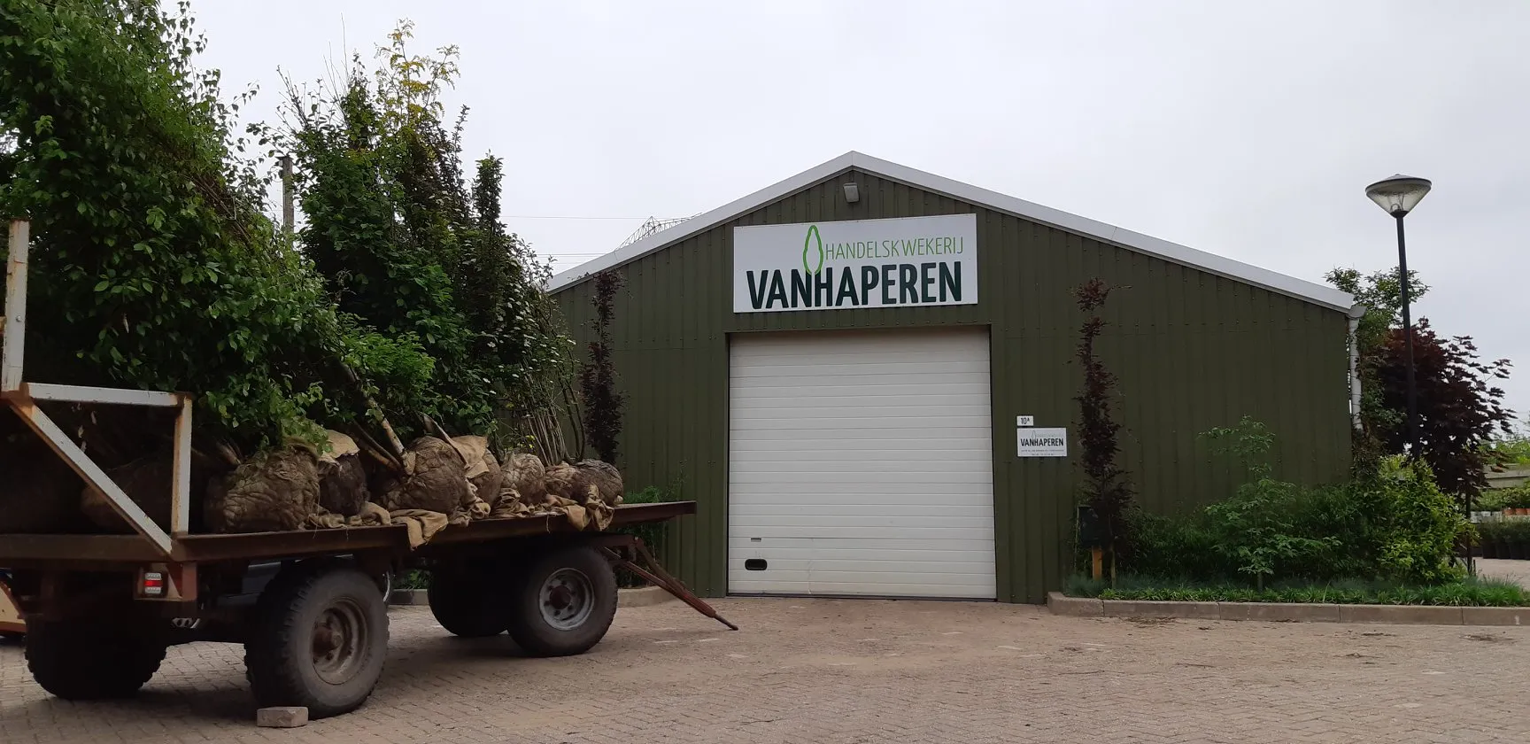 32929196 1936869256554919 2927590652600385536 n