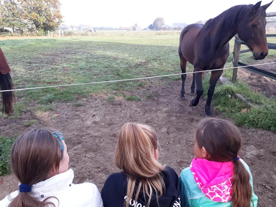 44330619 1840058546047162 6765389934418198528 n