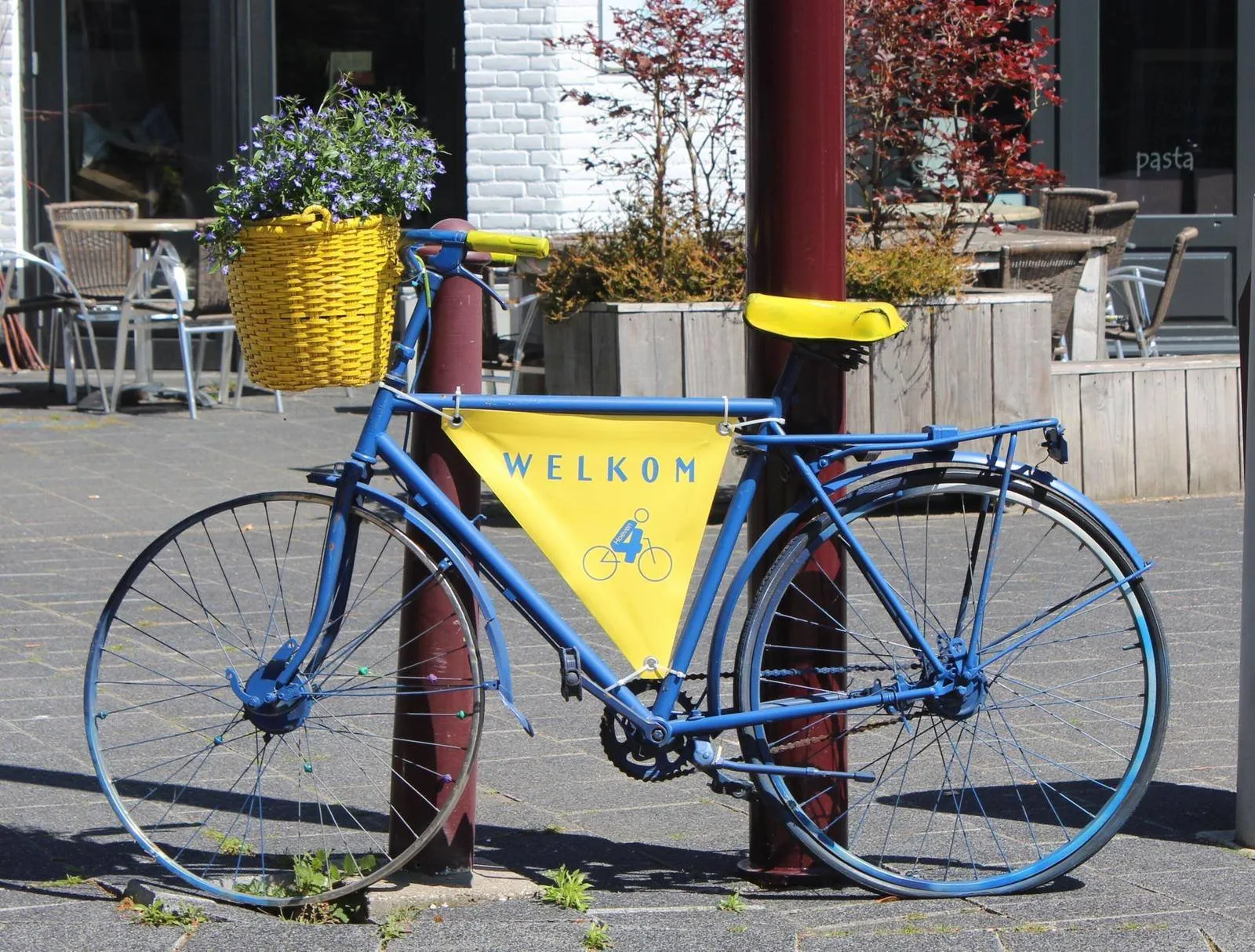 61463693 2045931525505105 2442594587529707520 n