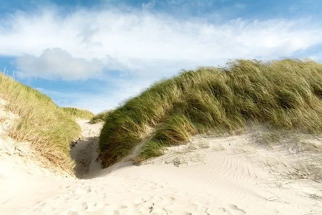 beach 5118039 640