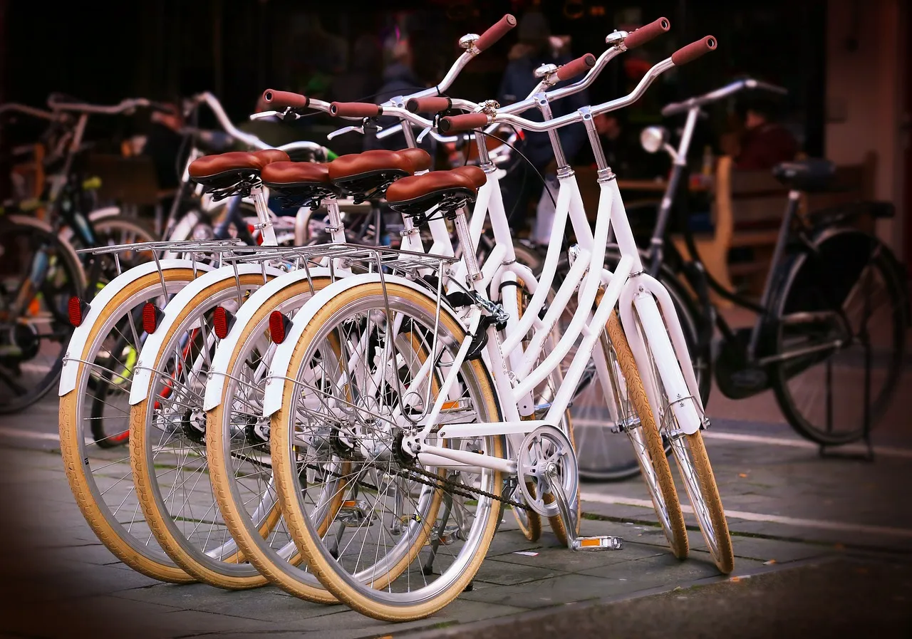 bicycles 737190 1280