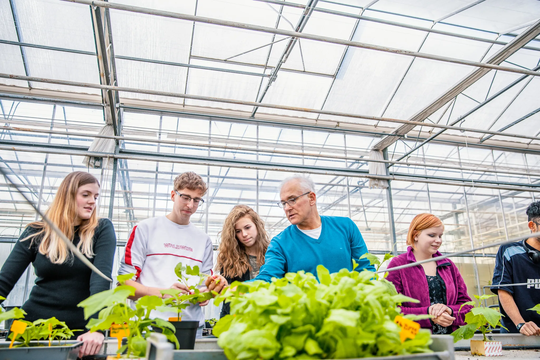 opleiding bloem groen en styling 1
