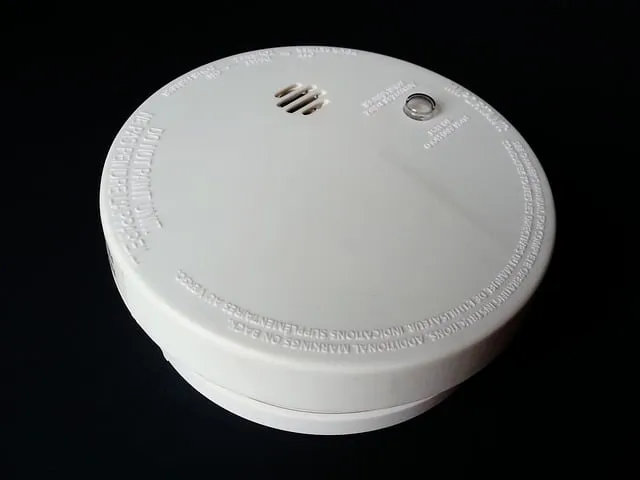 smoke gc5fb70e8f 640