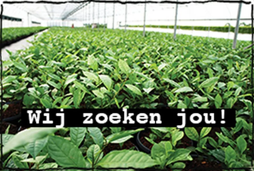 wij zoeken jou