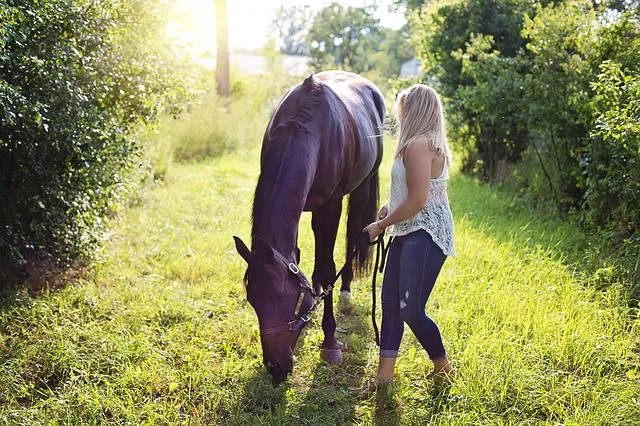 woman with horse gb32584f0b 640