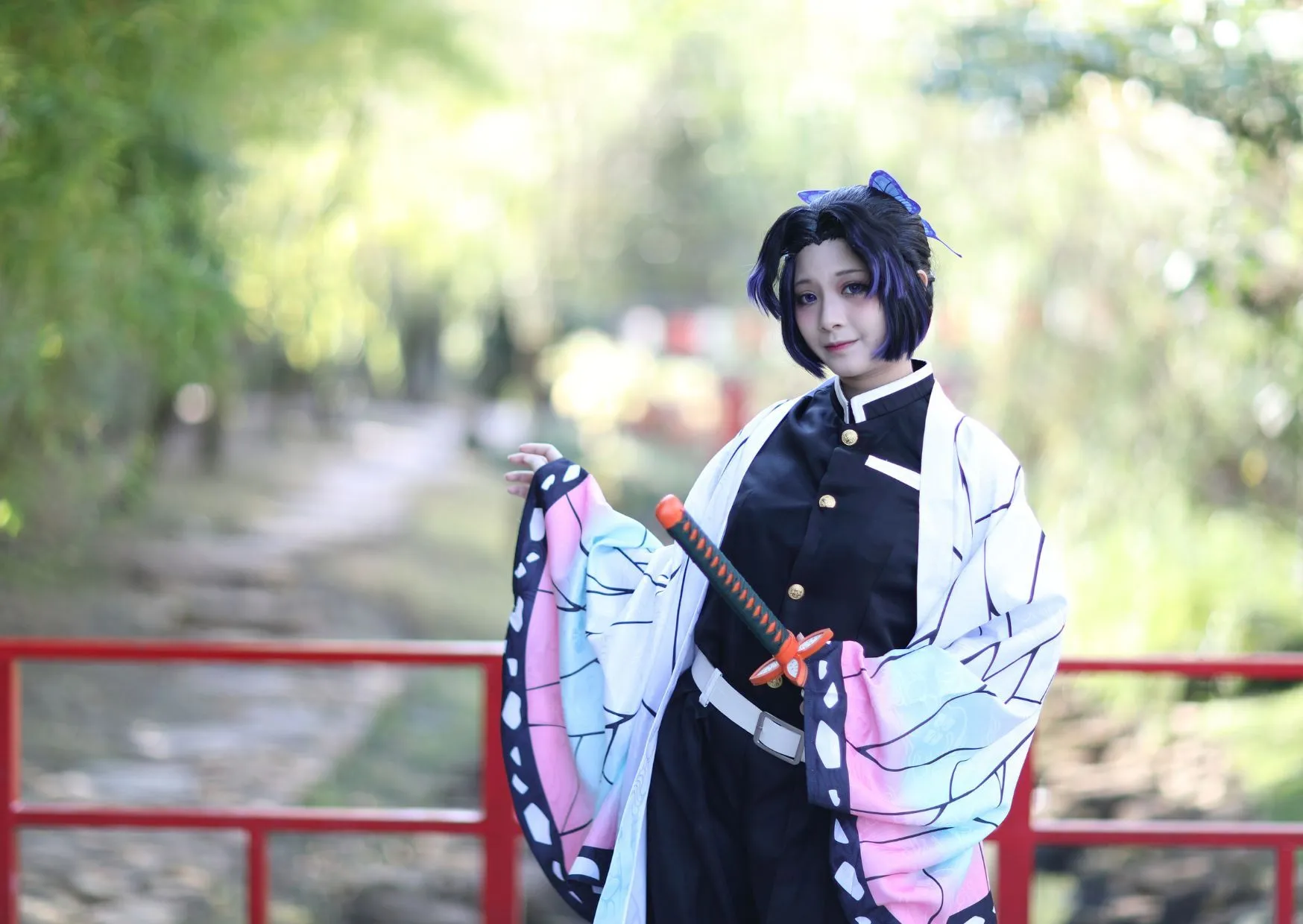 09012025 beeld ibaricon winters fade002