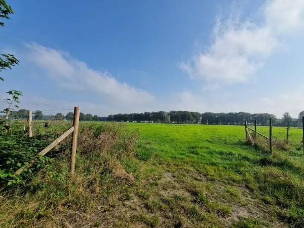de roesteling