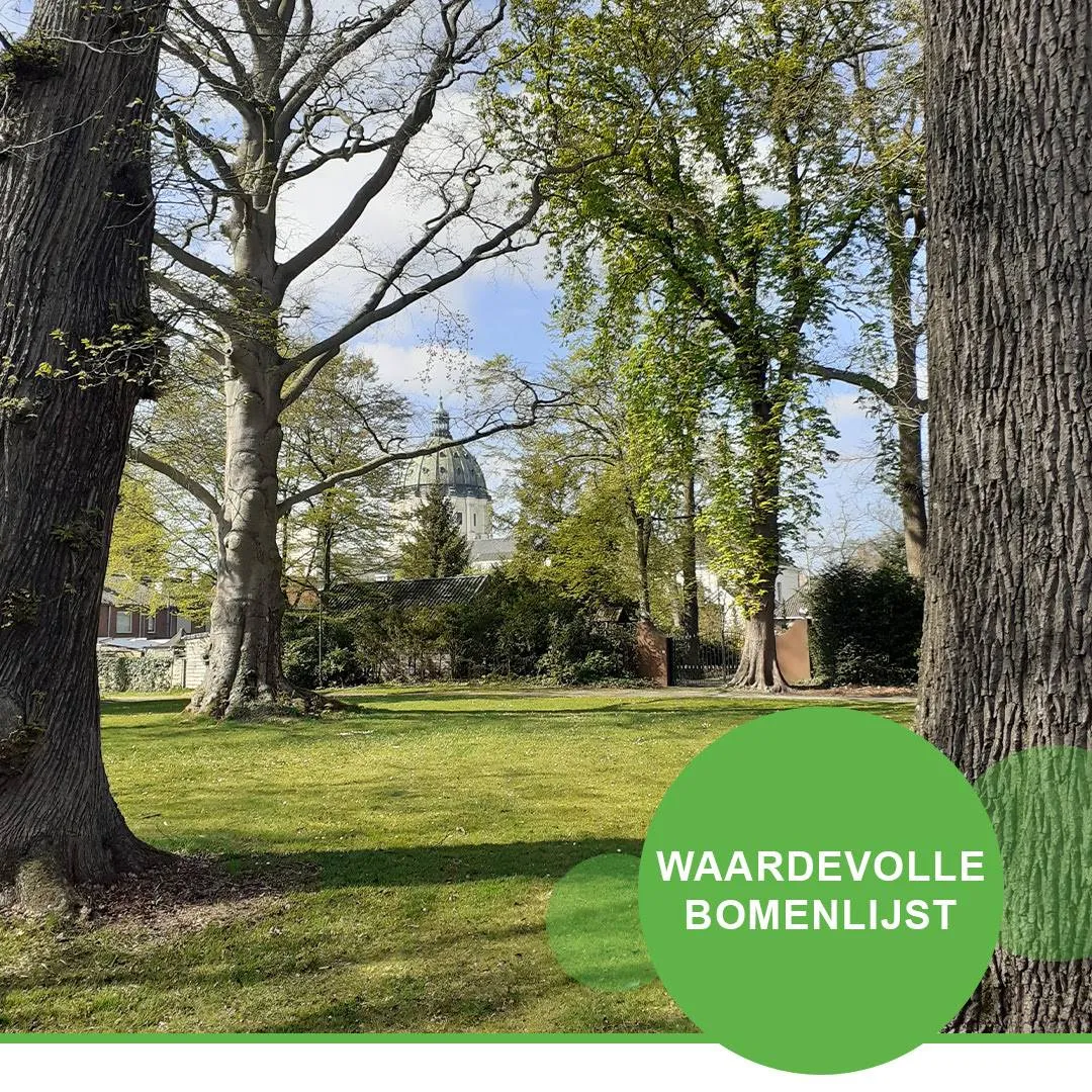 waardevolle-bomenlijst-halderberge