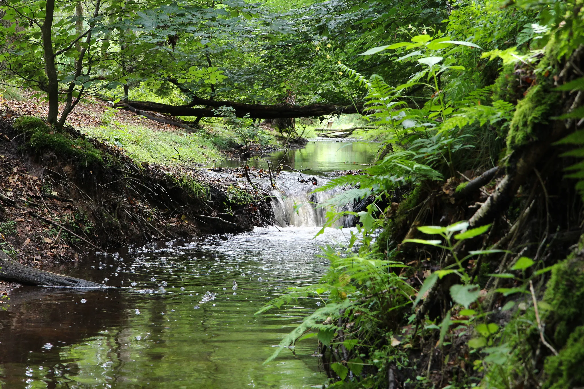 12294114063 f4246f723c k