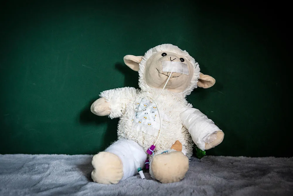 75349108 476367569632593 1154453480786624512 n