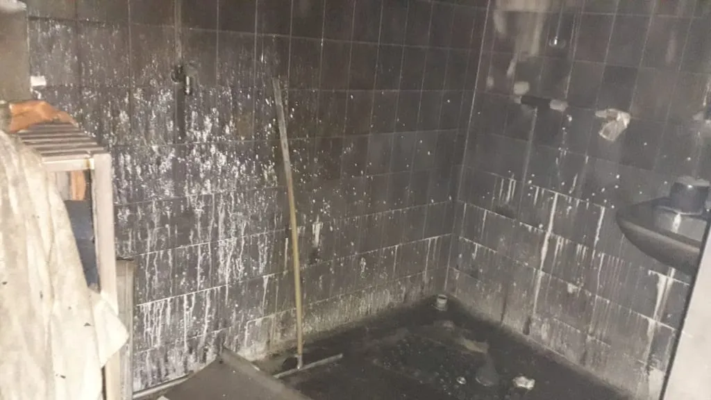 80469011 679533395951841 2337390866852741120 n