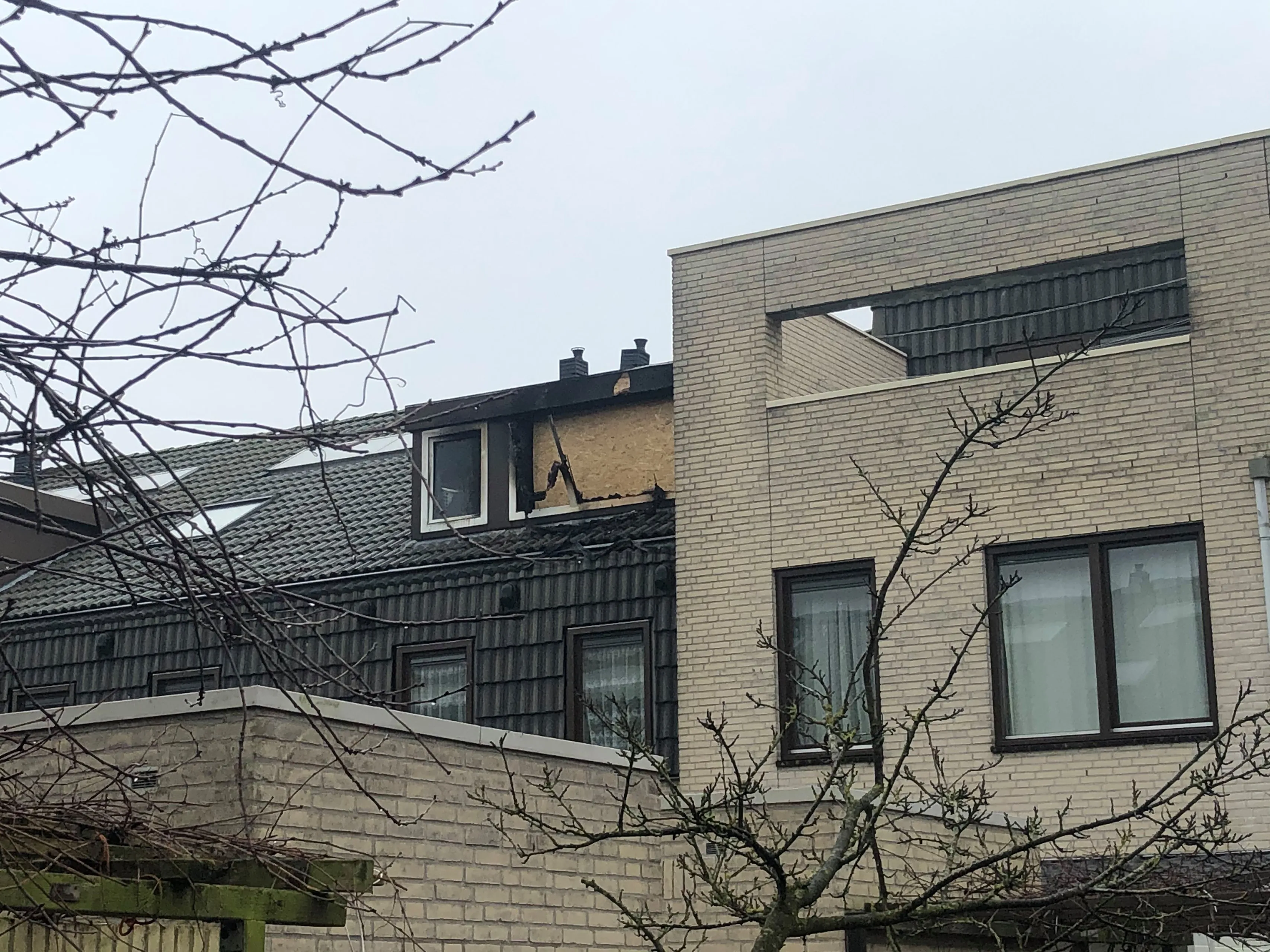 81097055 566874247501679 1334444406131916800 n