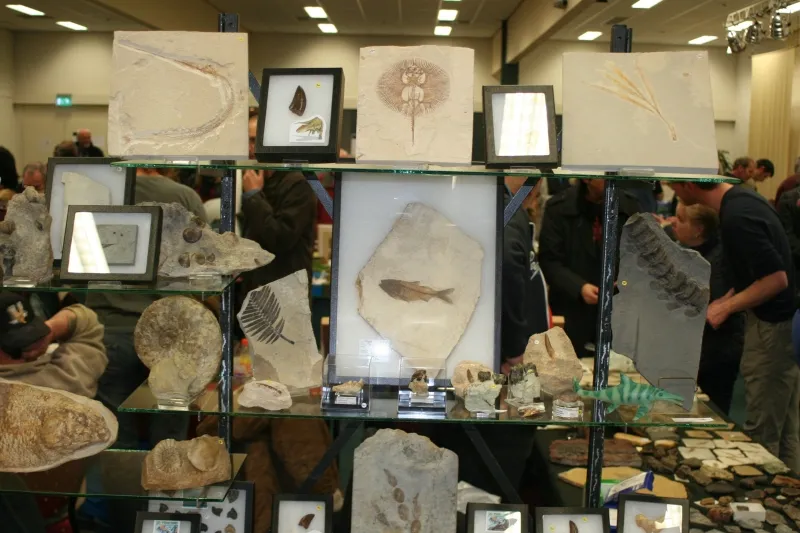 beurs025