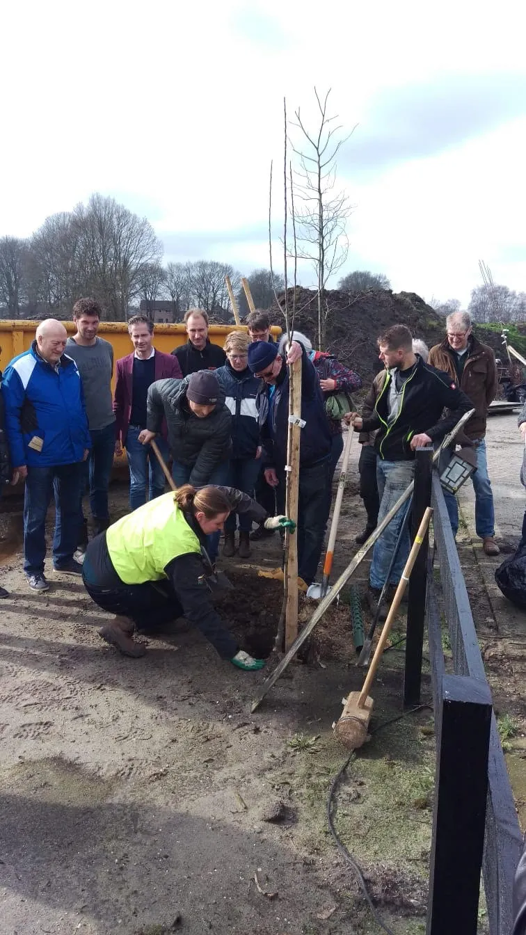 boom planten hierden web gemeente
