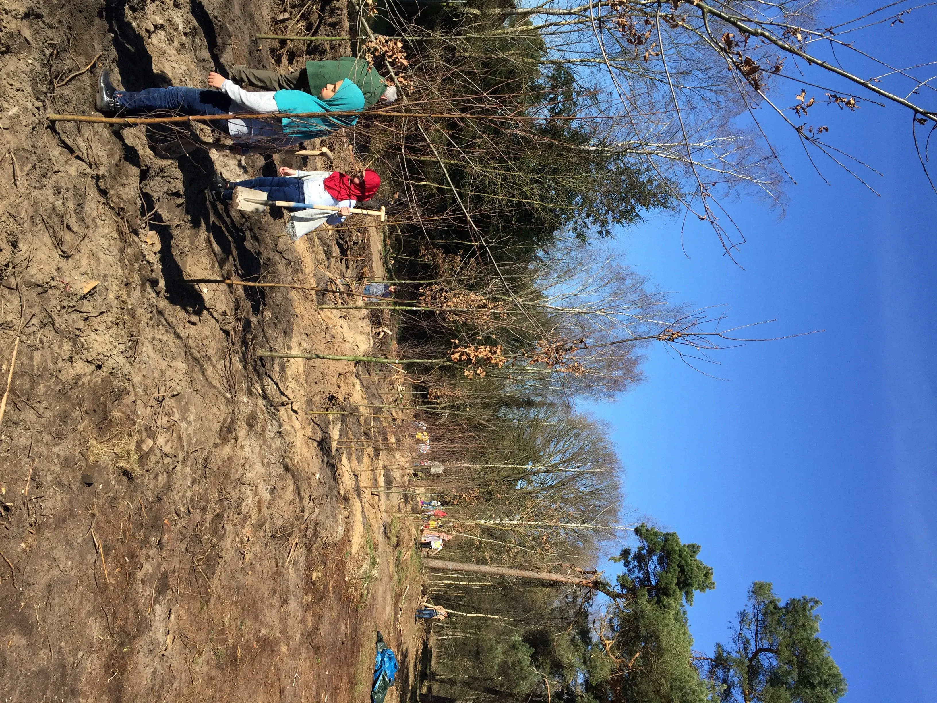 boomfeestdag nationale strokelbos haspel gemeente harderwijk e1490252323778