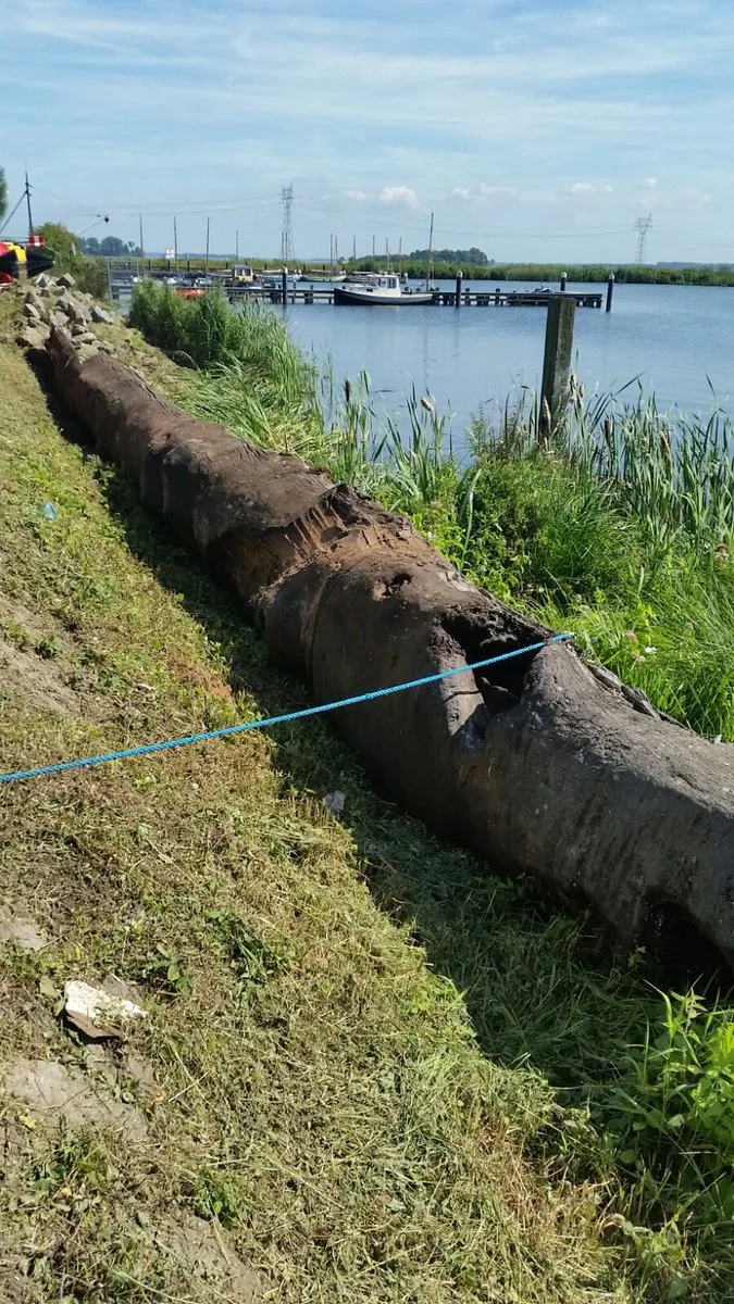 boomstam wolderwijd politie randmeren