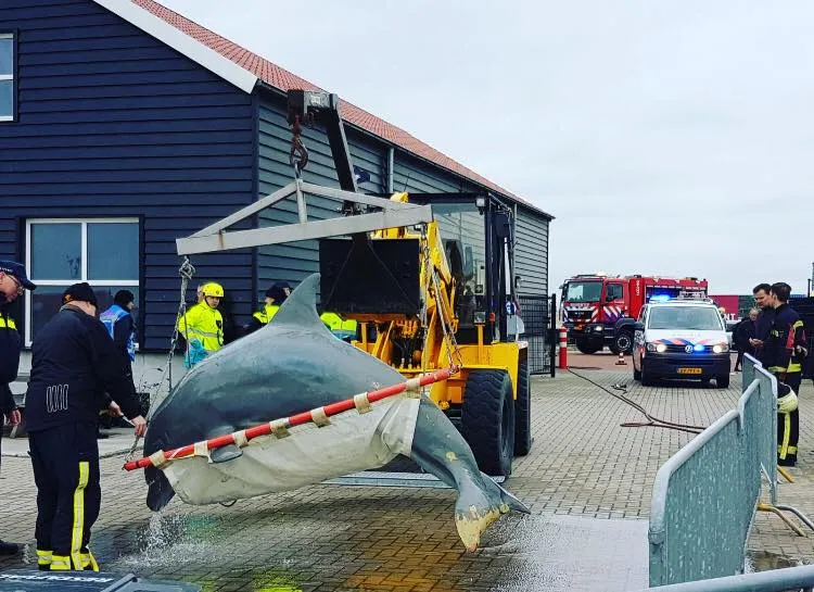 brandweerwedstrijden harderwijk vnog