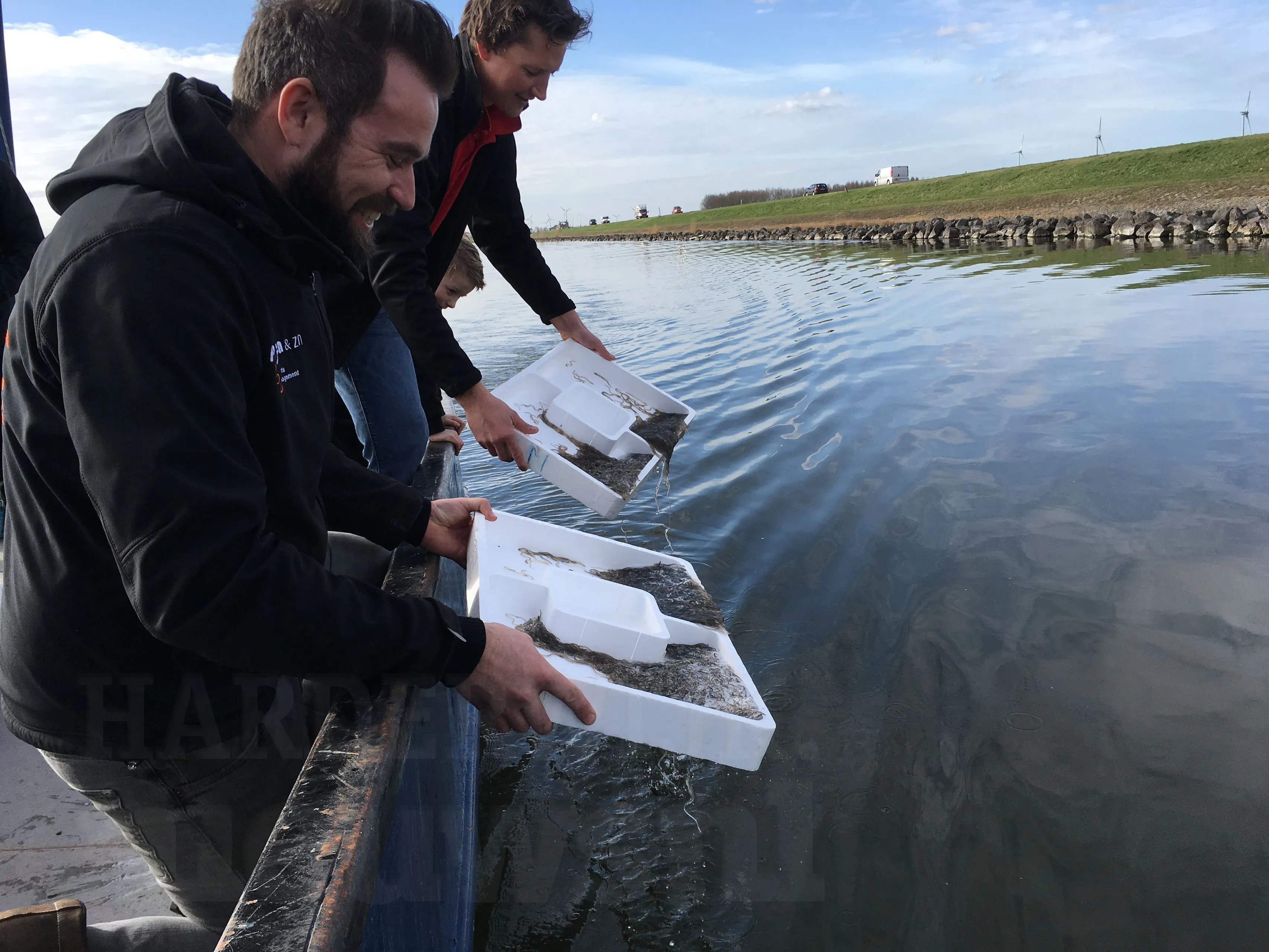 glasaal uitzet harderwijk wolderwijd w hnn