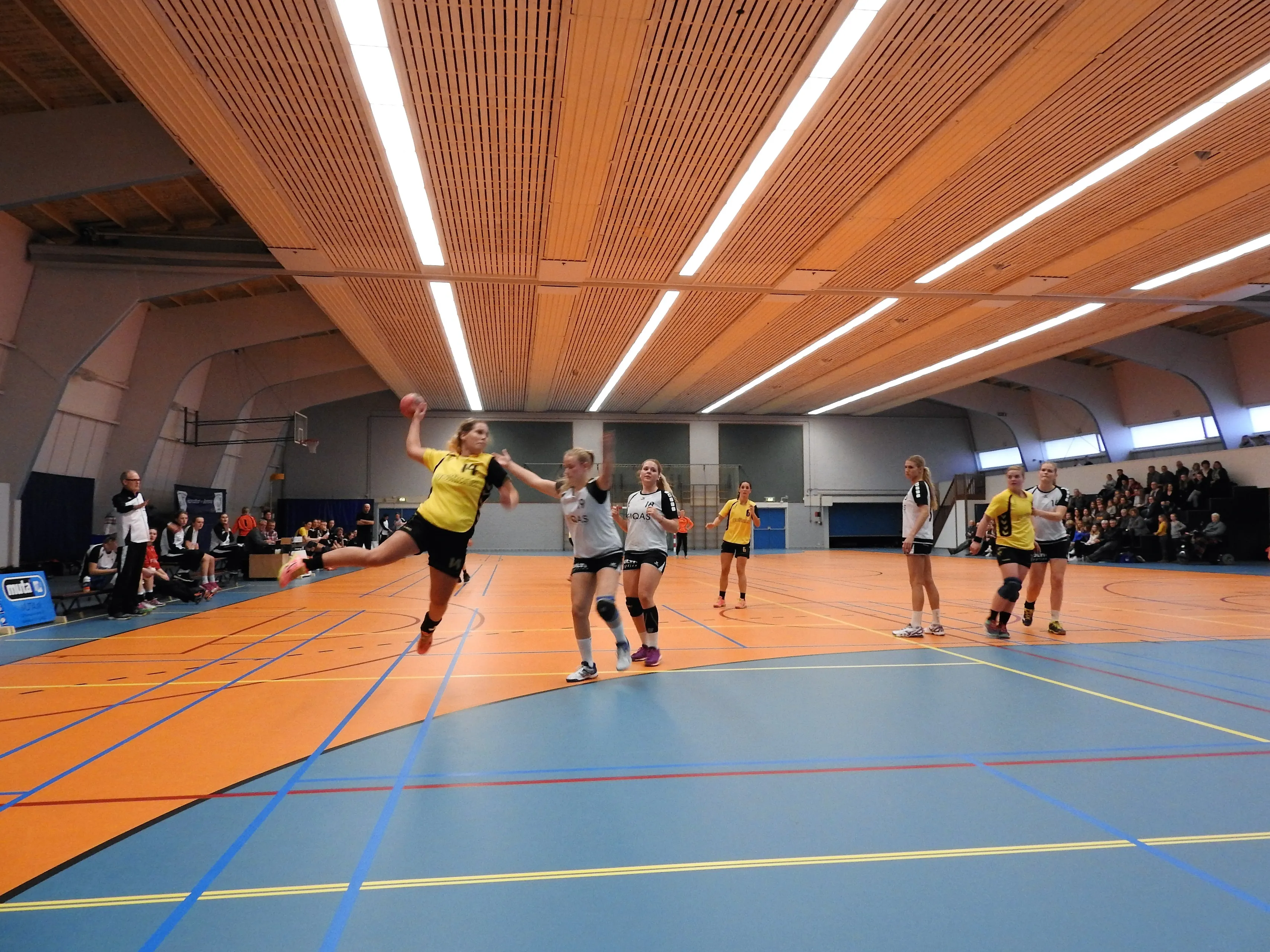 handbal actie hal borne dames marcel borne cc by sa 40