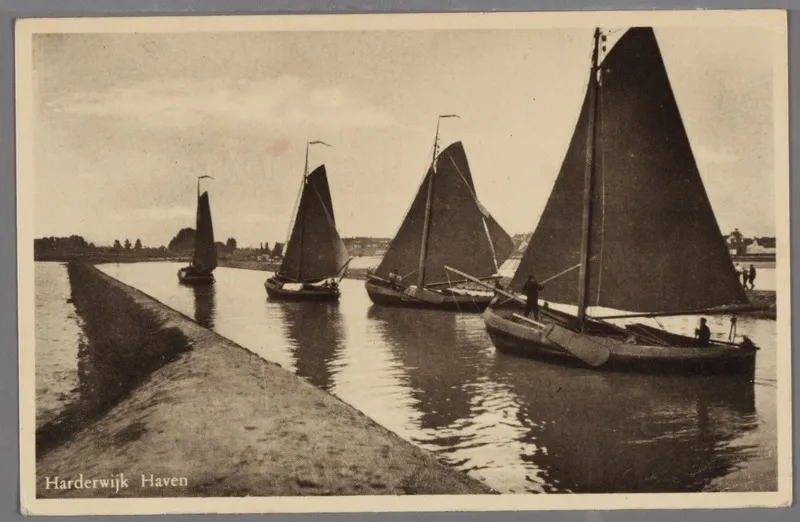 harderwijker bottersjpg zuiderzeemuseum wikimedia