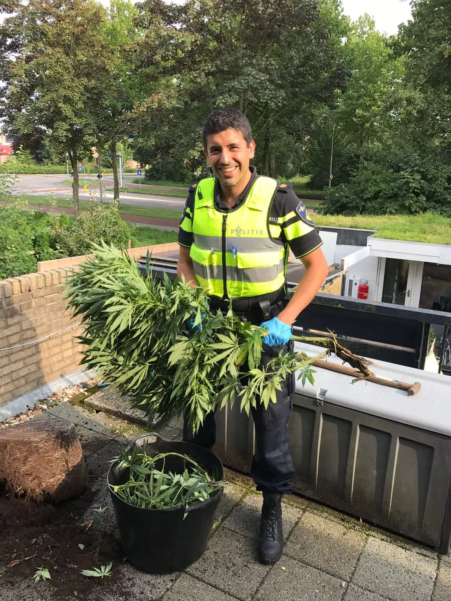 hennep ruimen twitter alex braakenburg