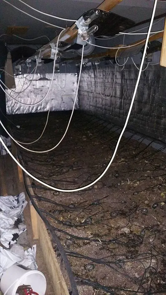 hennepkwekerij stadsdennen fb jurion veenstra