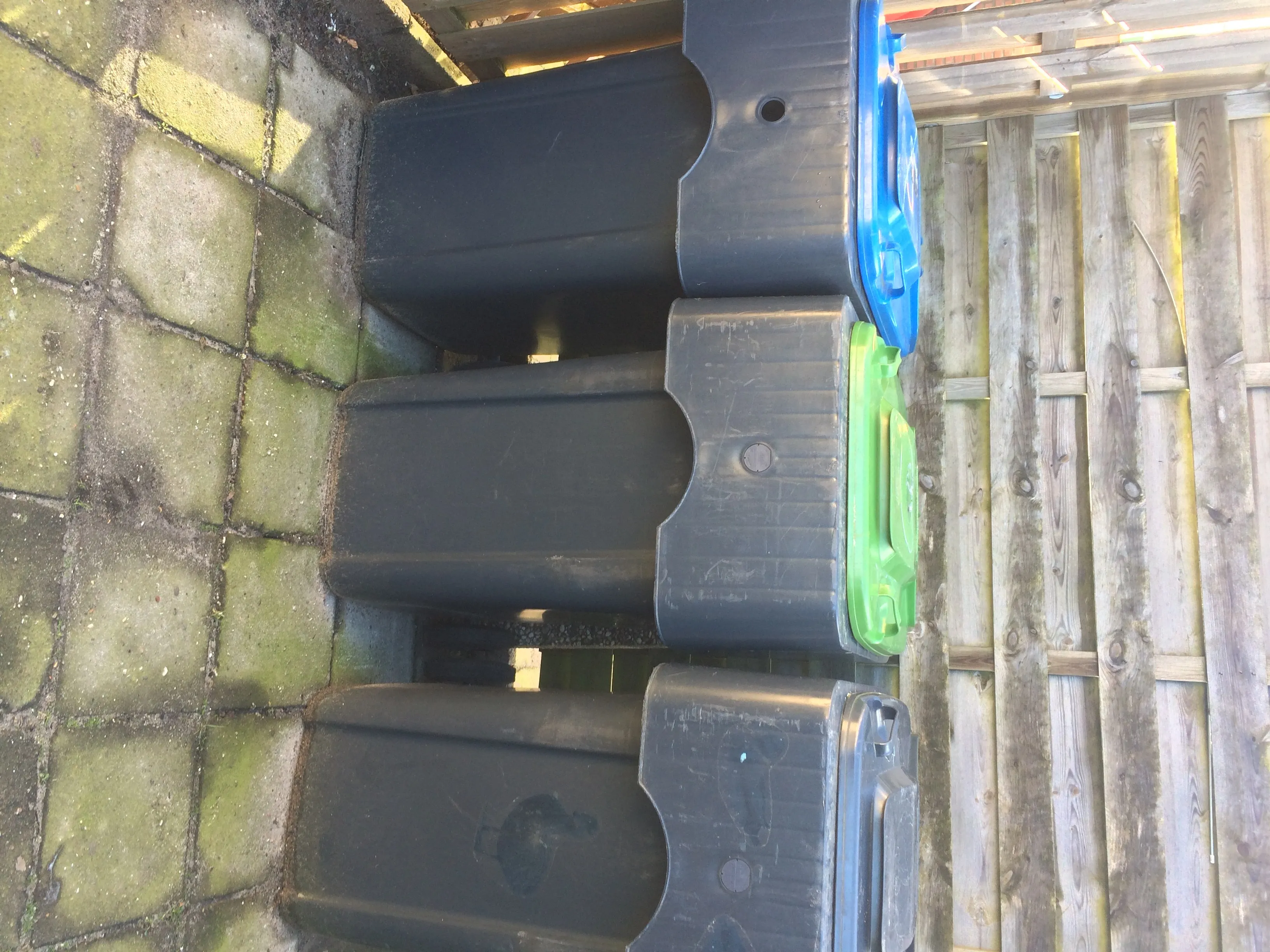 img 9664 e1455528789891