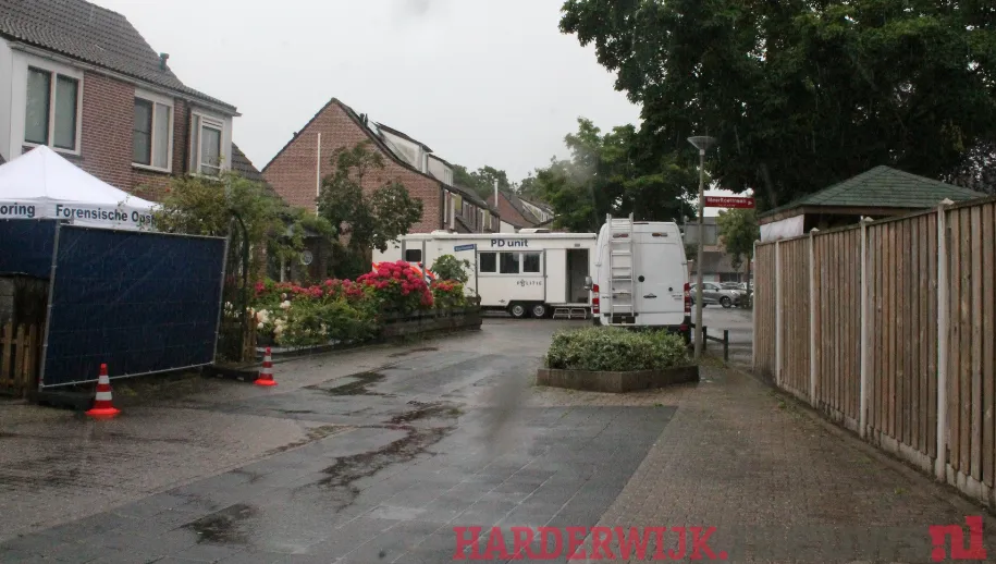 kindermishandeling meerkoet met watermerk 1