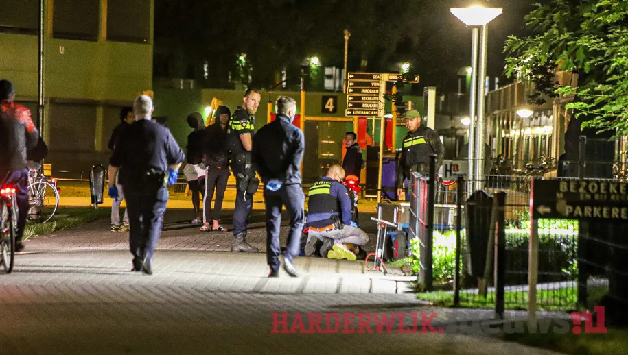 kopie van zonder titel 14