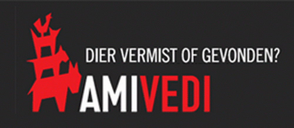 logo amivedi kopie e1453384617987