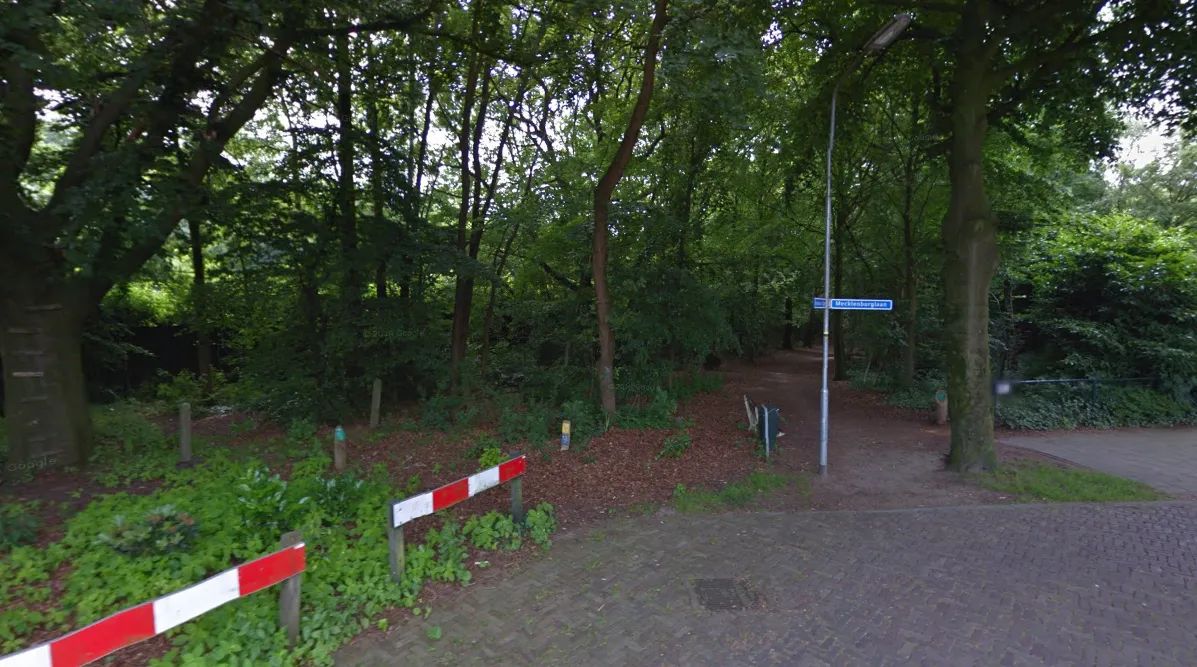 mecklenburglaan bosschage reinwardtlaan drugsdealen street view