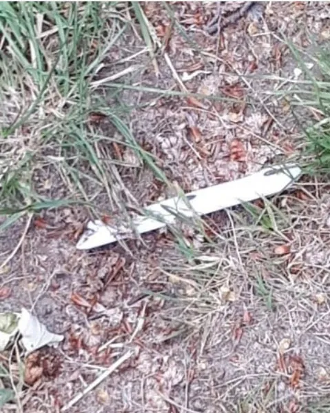 mes steekpaetij azc mei 2018 wijkagent veenstra