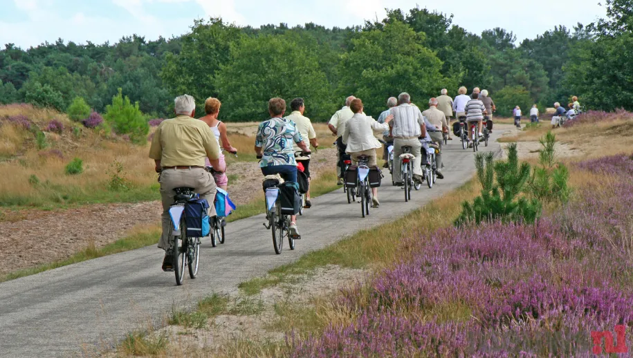 ontwerp zonder titel 1