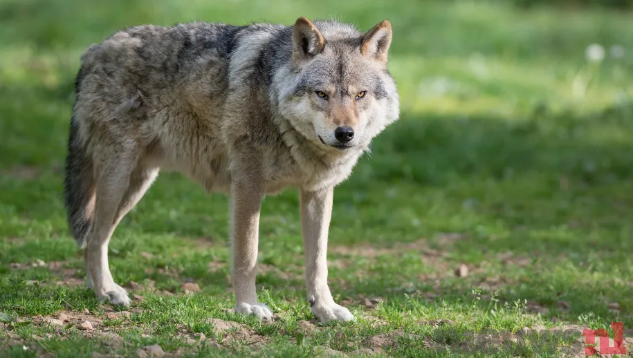 ontwerp zonder titel 1