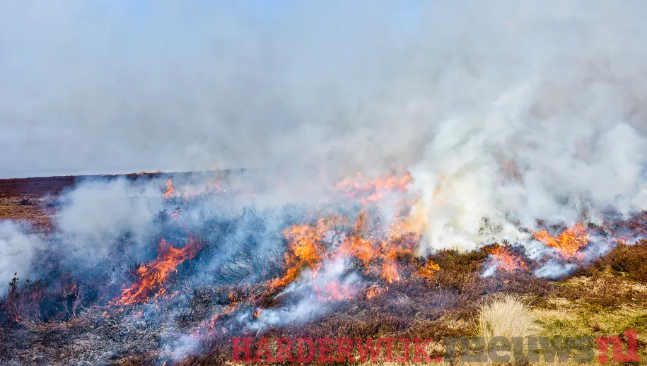 ontwerp zonder titel 18