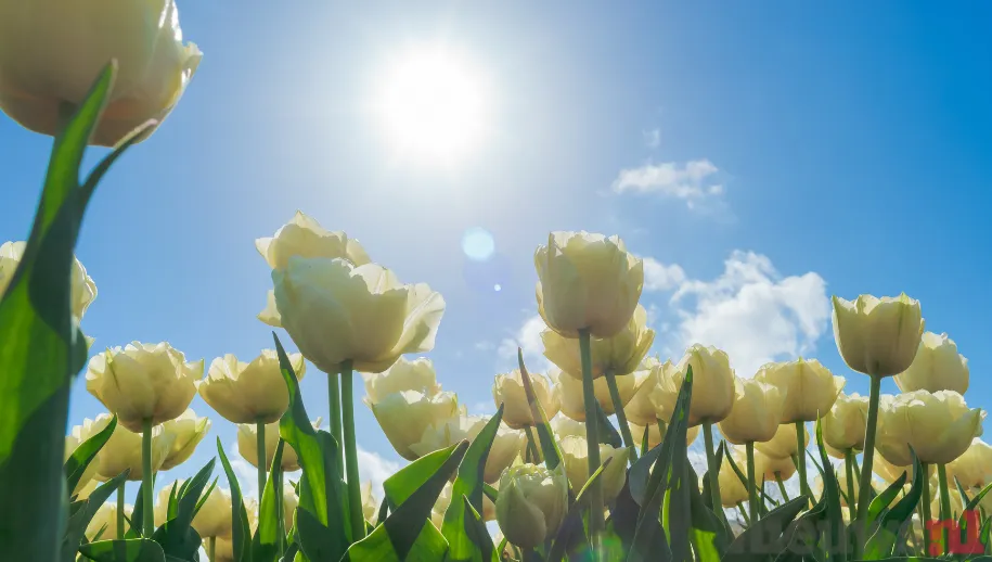 ontwerp zonder titel 2