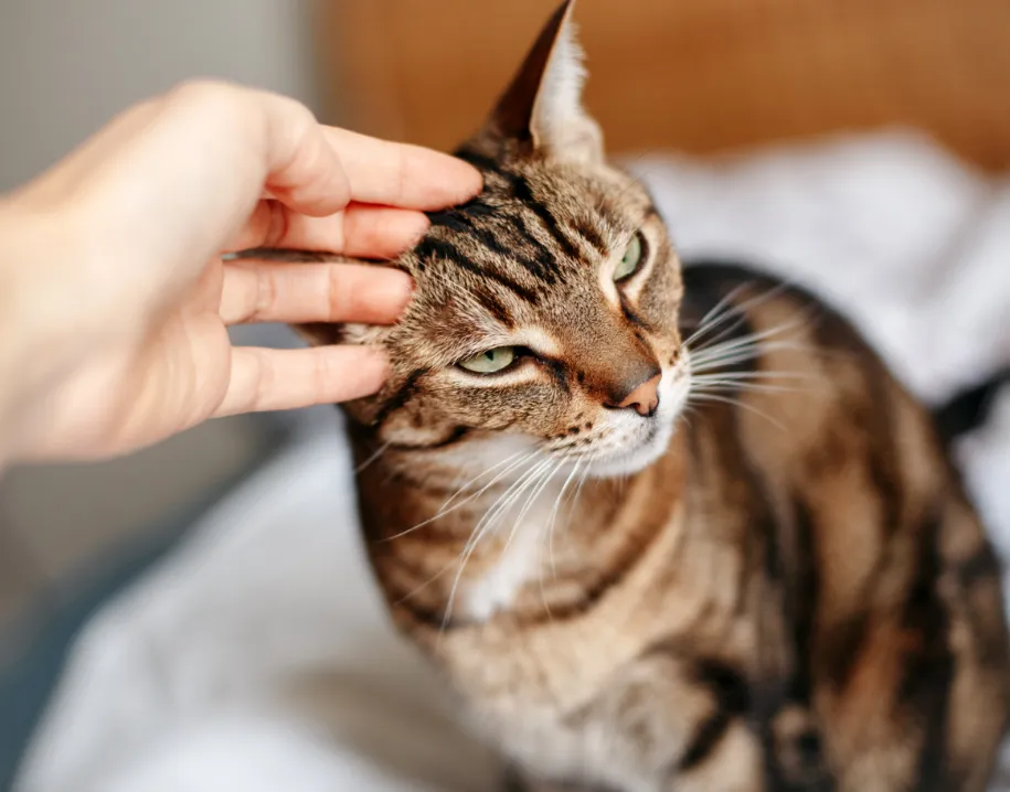 ontwerp zonder titel 2021 04 22t162056431